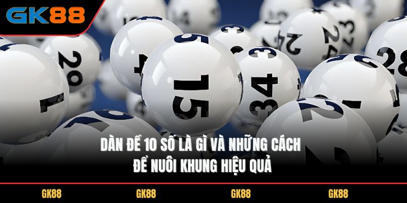 dan-de-10-so-la-gi-va-nhung-cach-de-nuoi-khung-hieu-qua