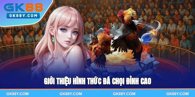 gioi-thieu-hinh-thuc-da-choi-dinh-cao