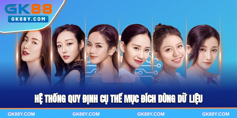 he-thong-quy-dinh-cu-the-muc-dich-dung-du-lieu