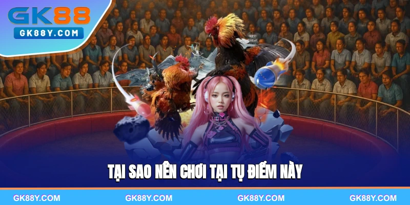 tai-sao-nen-choi-tai-tu-diem-nay